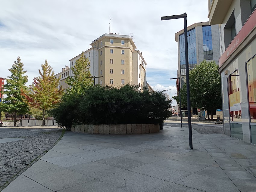 Café Avenida