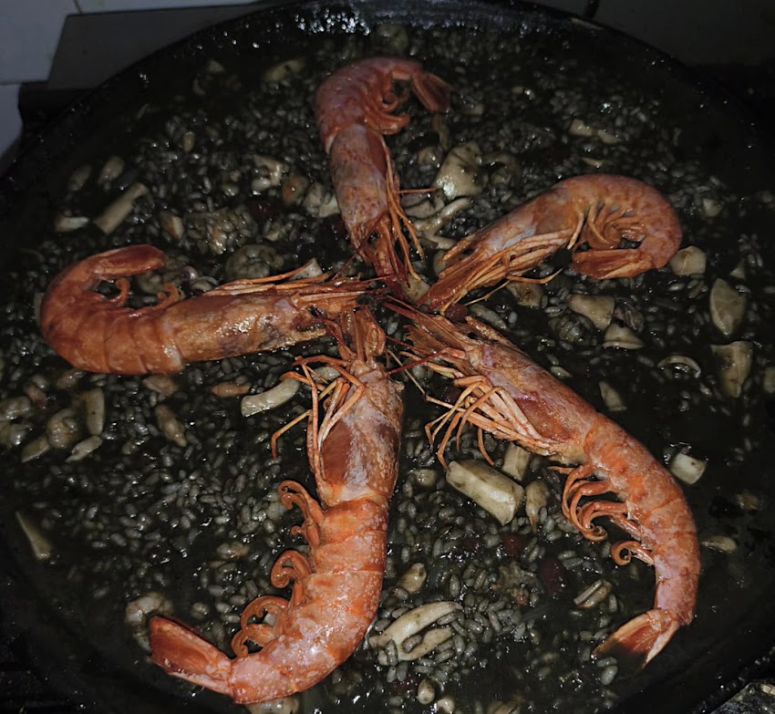 El racó de la ELY