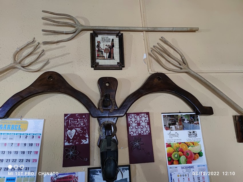 Bar Torre Medina