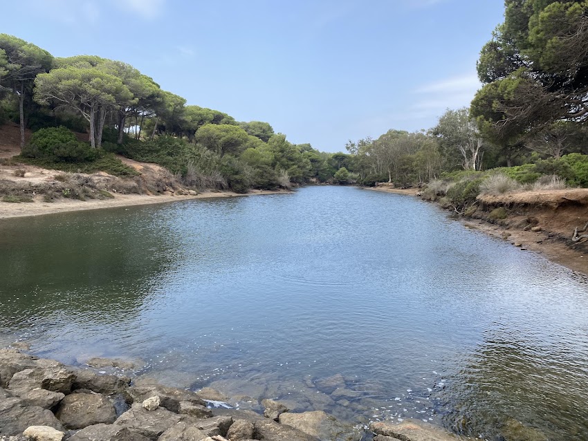 El Tergal