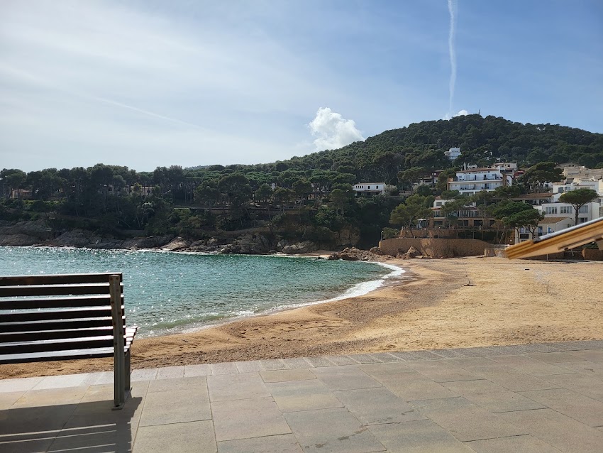 Bar Rodondo