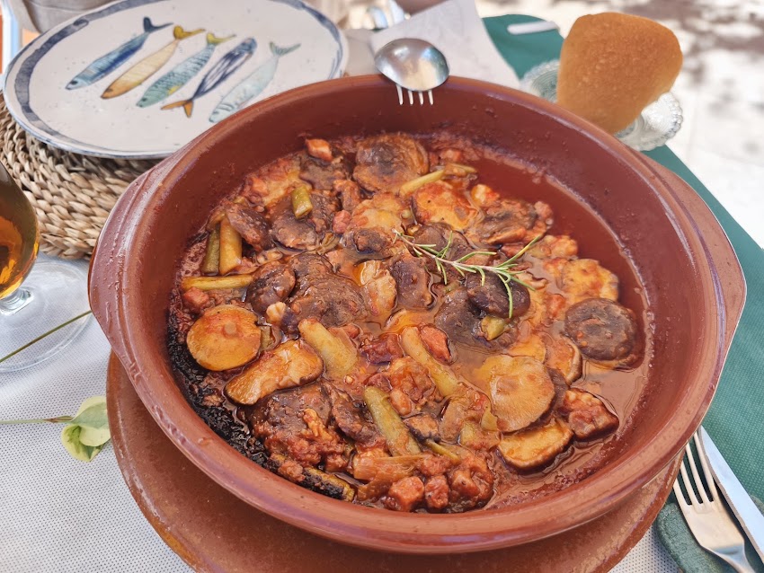 Casa Carlos