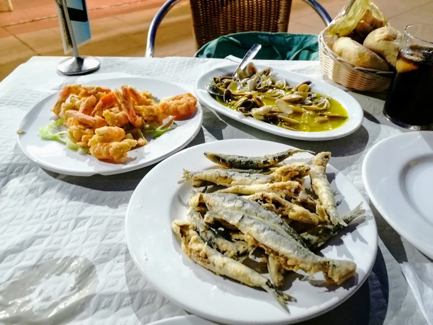 Zampa gamba
