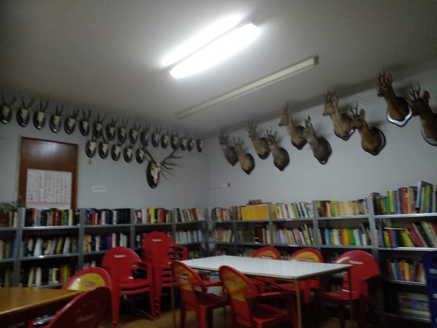 Bar Rocky