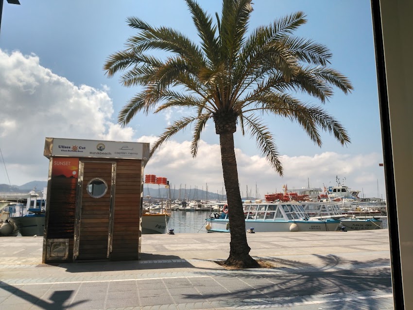 PALAPA