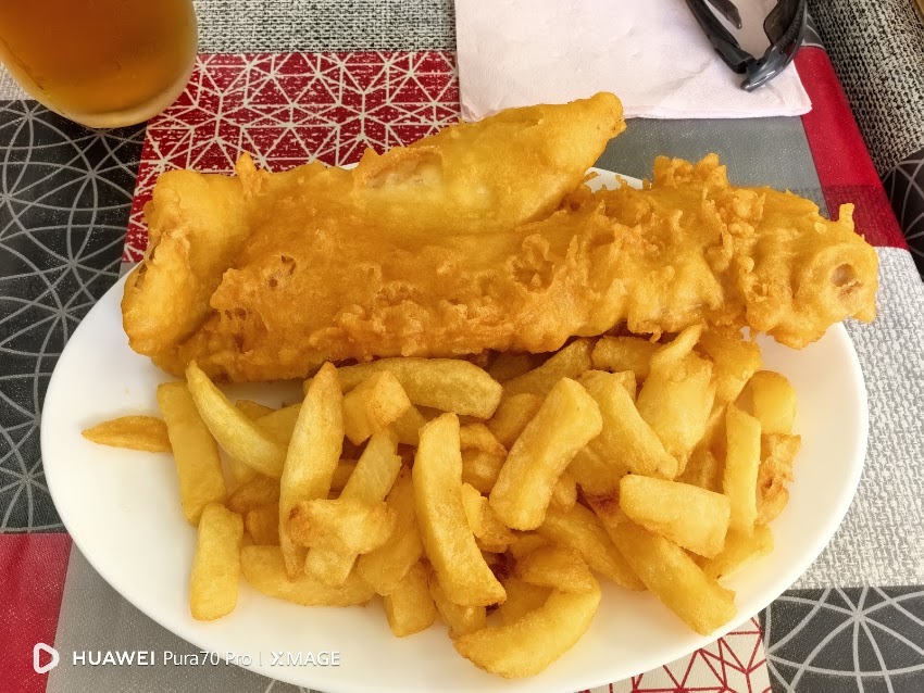 Rays II Chippy
