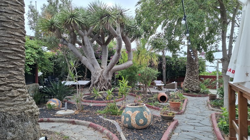 El Jardín de Tacoronte