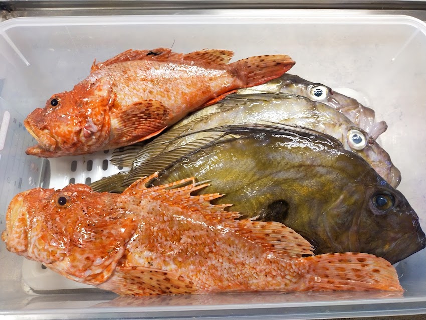 Restaurante Hermanos Rivera – Especialidad en Pescados