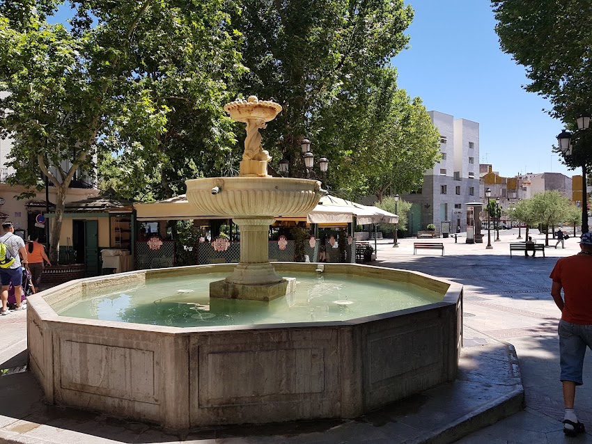 Alameda Café