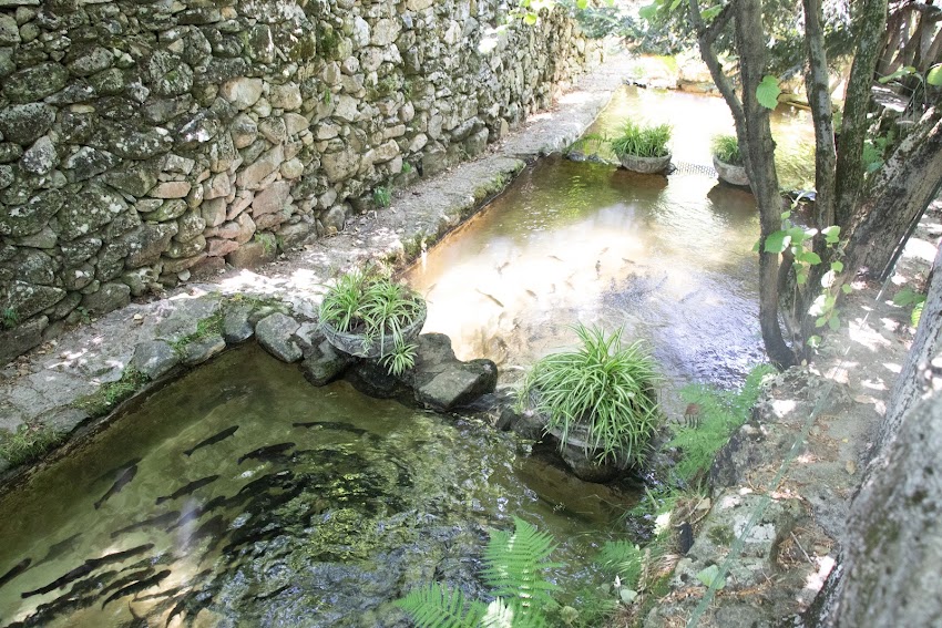 Restaurante Los Frutales