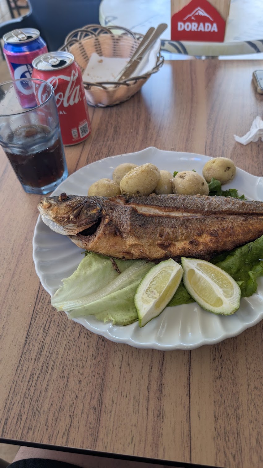 El rincón de Sara