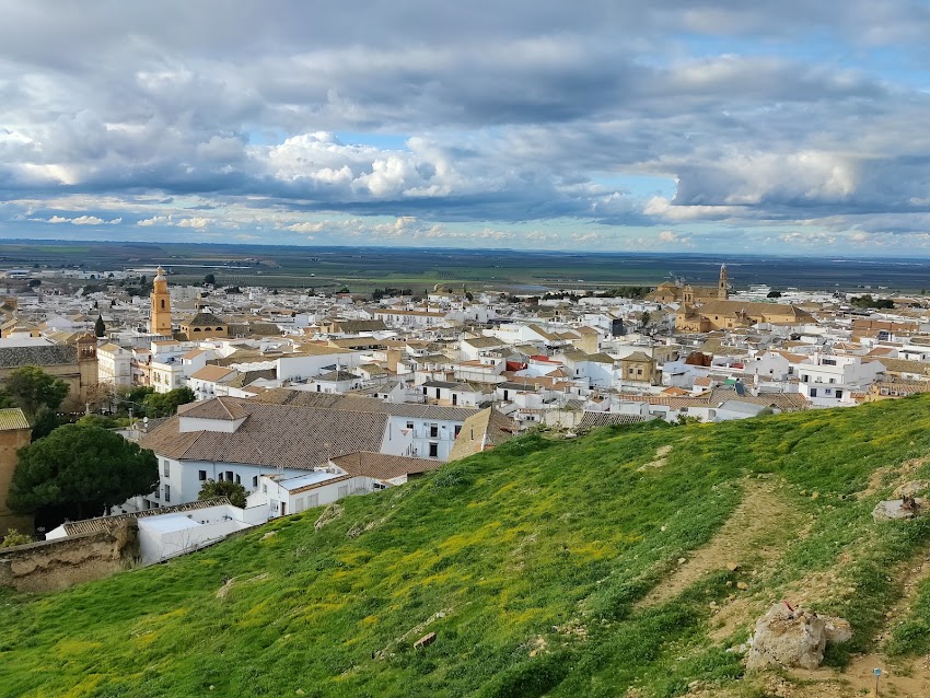 CAMPO DE CIPRESES