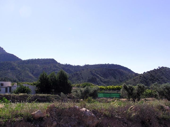 Bar la Rueda