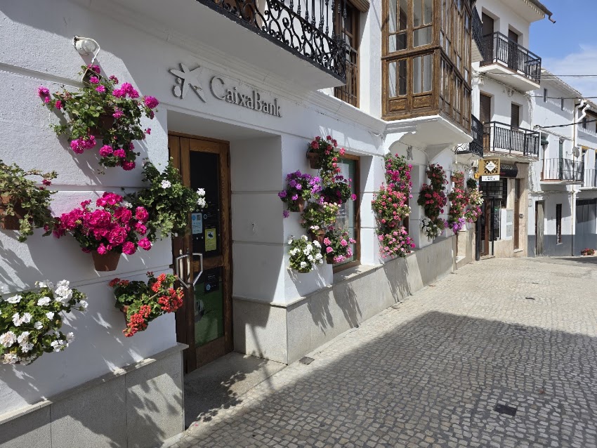 Bar zafra